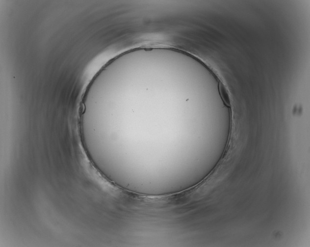 X0000114661488200911101332