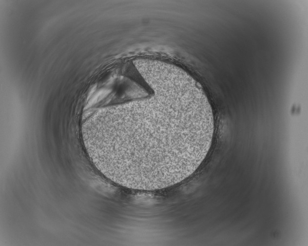 X0000114661489200911101331