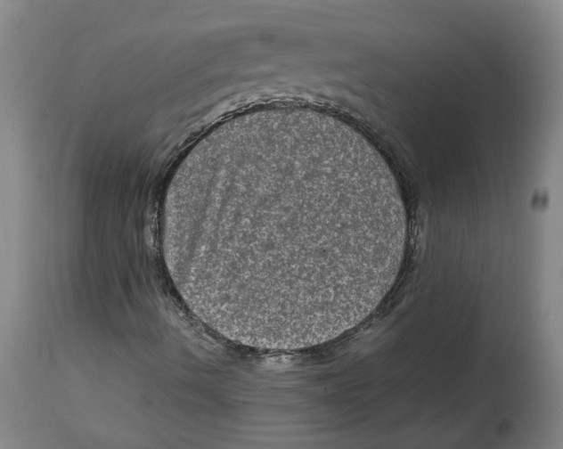 X0000114661490200911101331