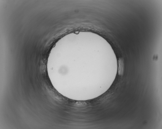 X0000114661491200911101331