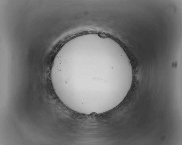 X0000114661495200911101331