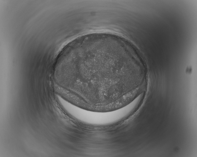 X0000114661497200911101331