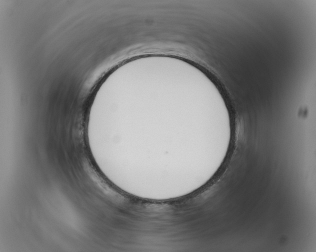 X0000114661498200911101331