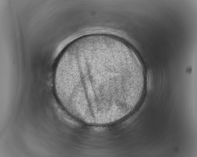 X0000114661501200911101331