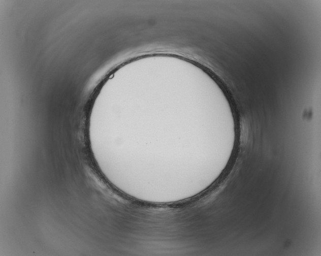 X0000114661502200911101331