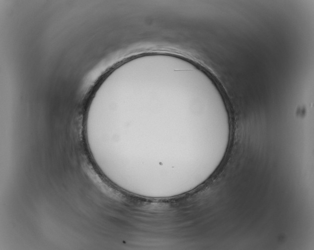 X0000114661503200911101331