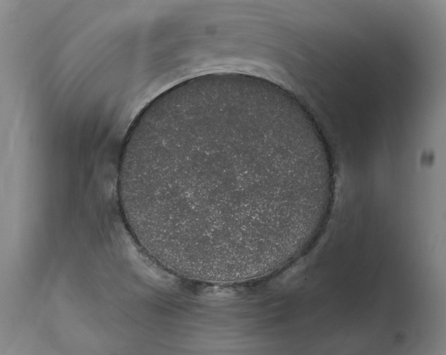 X0000114661505200911101331