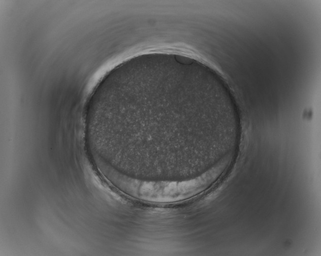 X0000114661506200911101331