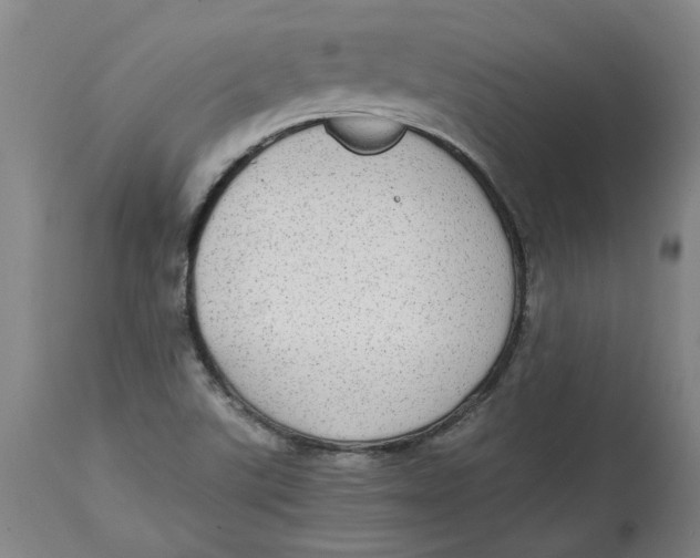 X0000114661507200911101331