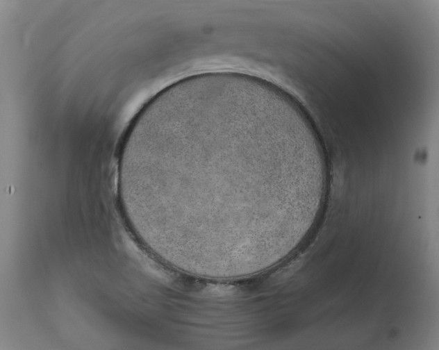 X0000114661509200911101331