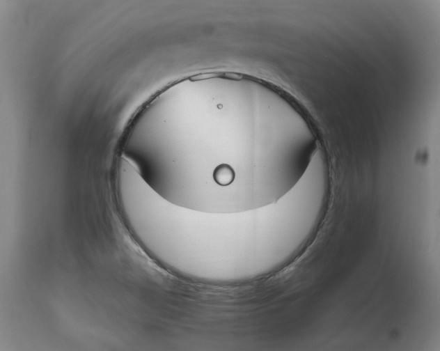 X0000114661510200911101331