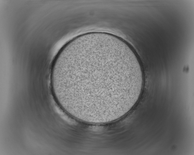 X0000114661511200911101331