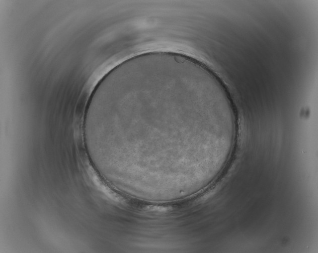 X0000114661513200911101331