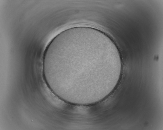 X0000114661514200911101331