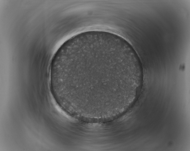 X0000114661515200911101331