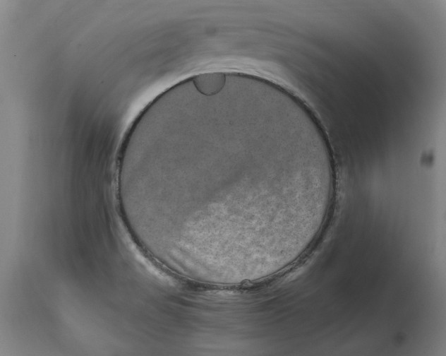 X0000114661517200911101331