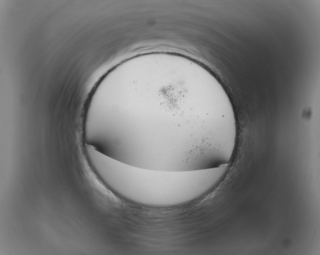 X0000114661518200911101331