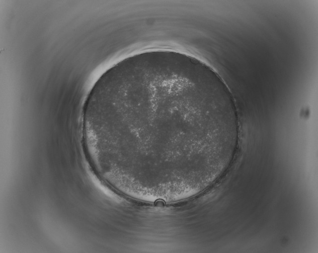 X0000114661519200911101331