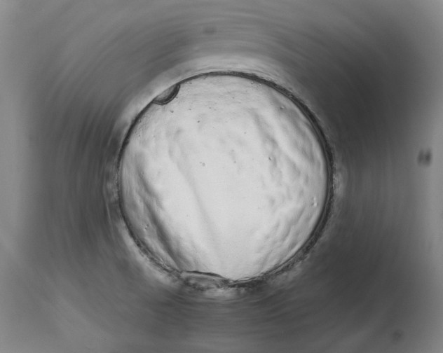 X0000114661521200911101331