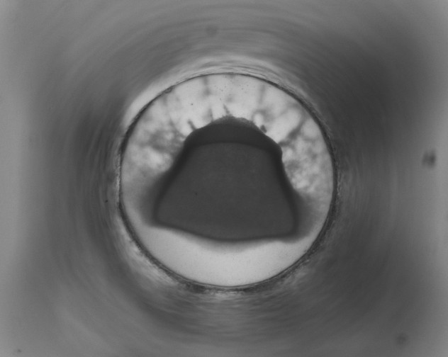 X0000114661522200911101332