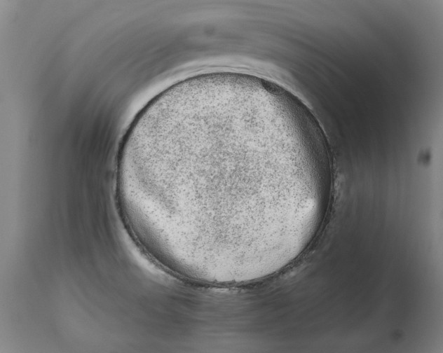 X0000114661523200911101332