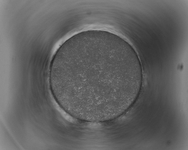 X0000114661525200911101332