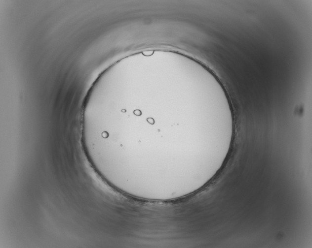 X0000114661526200911101332