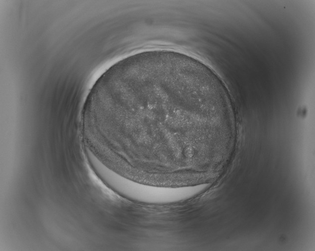 X0000114661527200911101332