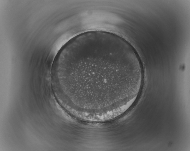 X0000114661529200911101332