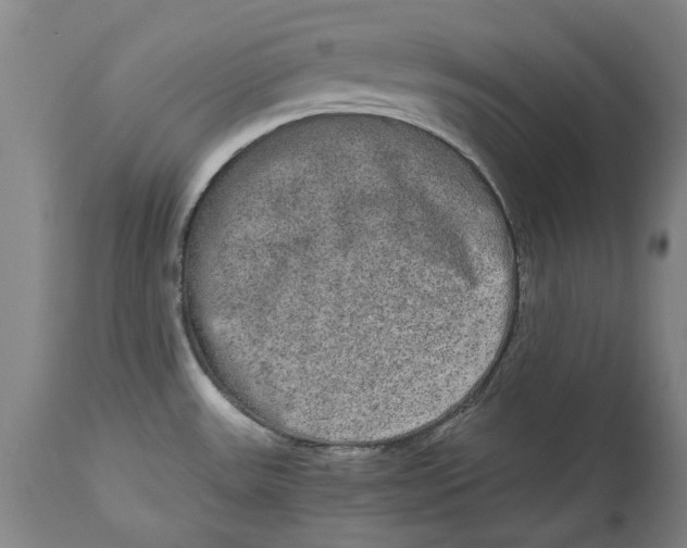 X0000114661531200911101332