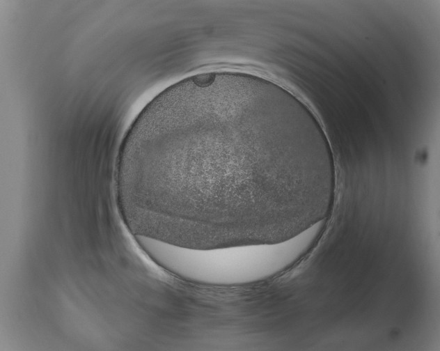 X0000114661533200911101332