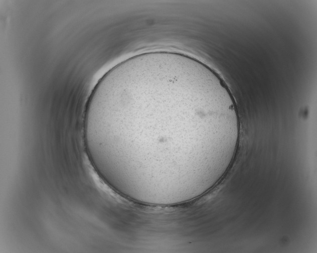 X0000114661534200911101332