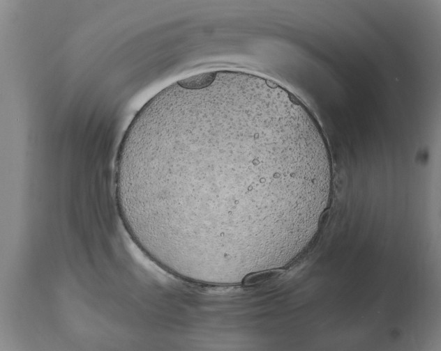 X0000114661535200911101332