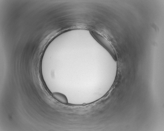 X0000114660001200911171120