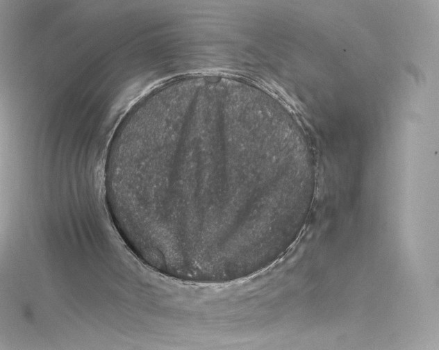 X0000114660002200911171120