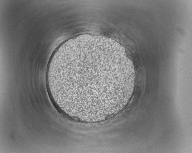 X0000114660003200911171120