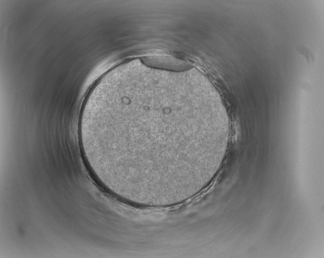 X0000114660004200911171120