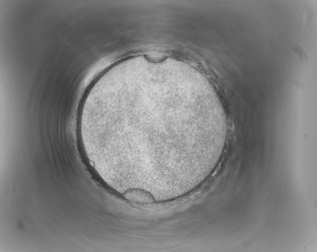 X0000114660006200911171120