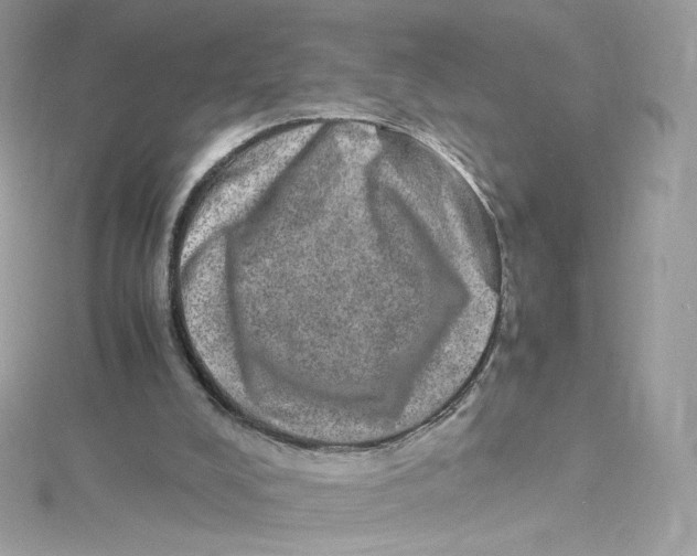 X0000114660008200911171120