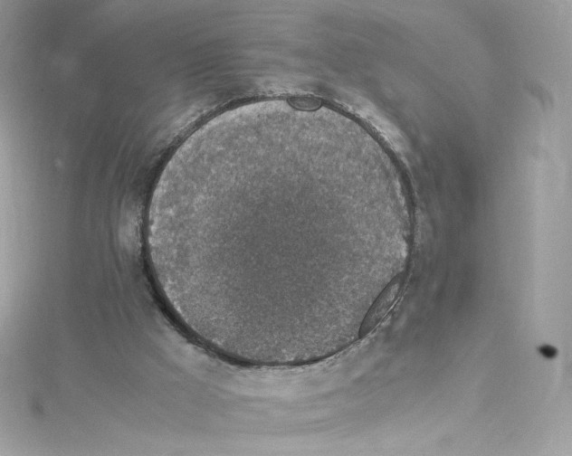 X0000114660009200911171120