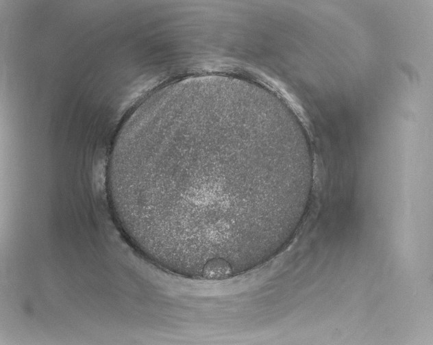 X0000114660010200911171120