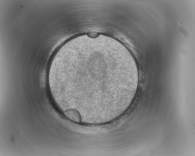 X0000114660012200911171120