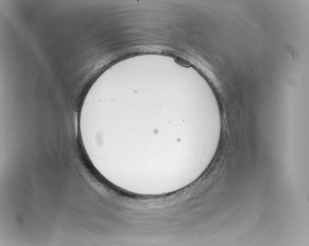 X0000114660013200911171120