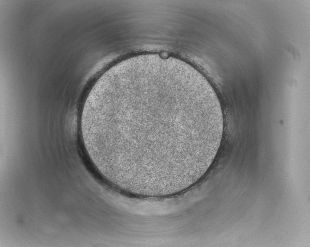 X0000114660016200911171120