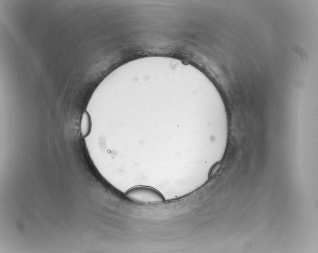 X0000114660017200911171120