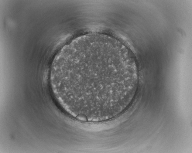 X0000114660018200911171120