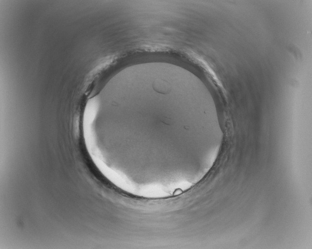 X0000114660019200911171120