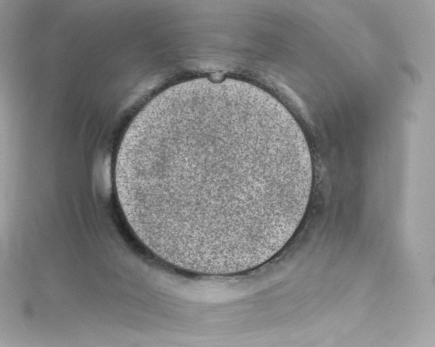 X0000114660020200911171120