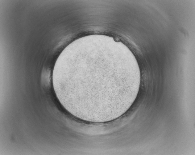 X0000114660024200911171119