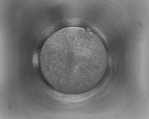 X0000114660026200911171119